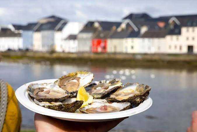 Galway oysters