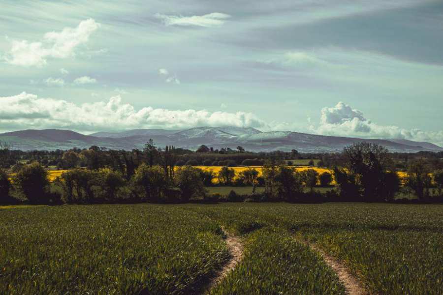 An Ireland trip, if you wish
